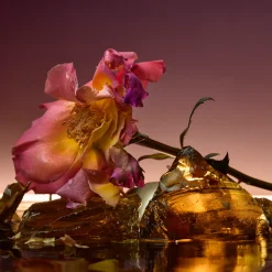 D'Orsay Rose Blaze Extrait de Parfum 90ml Clearance