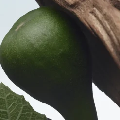 Dries Van Noten Santal Greenery Eau de Parfum Refill 200ml Discount