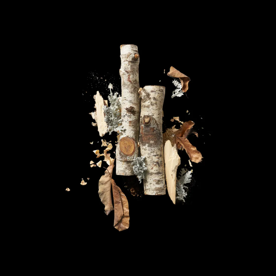 Corpus Santalum 75gr Best