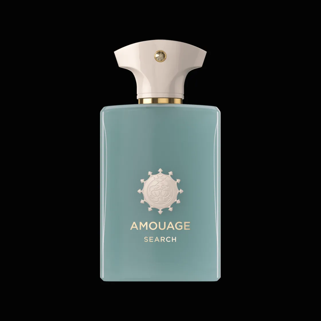 Amouage Search Man Eau de Parfum 100ml Clearance