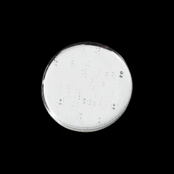 Hair by Sam McKnight Self Control Hair Gel 150ml