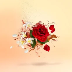 Xerjoff Shooting Stars La Capitale Eau de Parfum 50ml Sale