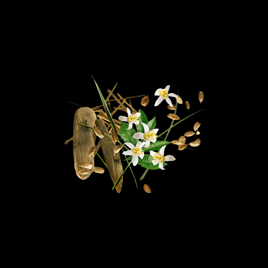 Xerjoff Shooting Stars Nio Parfum 50ml Sale