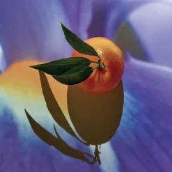 LOEWE Solo Elixir Eau de Parfum 100ml Sale