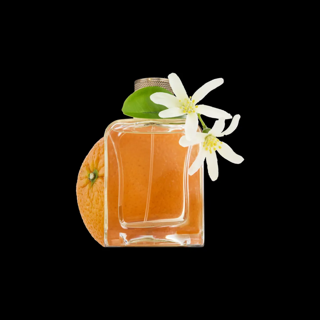 Veronique Gabai Souvenirs De Tunisie Eau de Parfum 85ml New