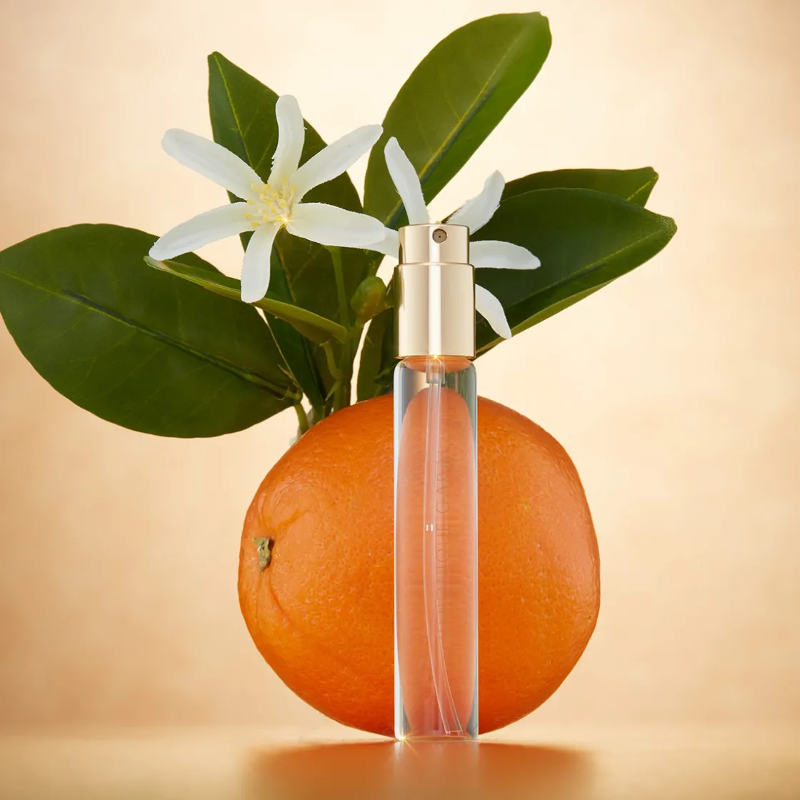 Veronique Gabai Souvenirs de Tunisie EDP Travel 10ml Outlet