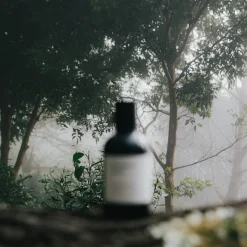 Perfumer H Steam Eau de Parfum Refill 100ml Online