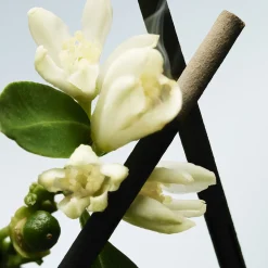 Dries Van Noten Sur Ma Peau Eau de Toilette 200ml Discount