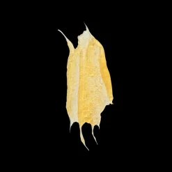 MANTLE The Hot Ex 200ml Best