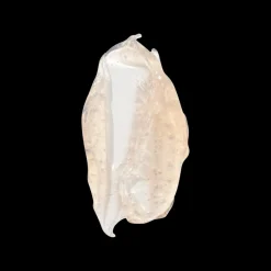 MANTLE The Pussy Smooch 30ml