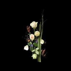 Corpus Third Rose 75gr Discount