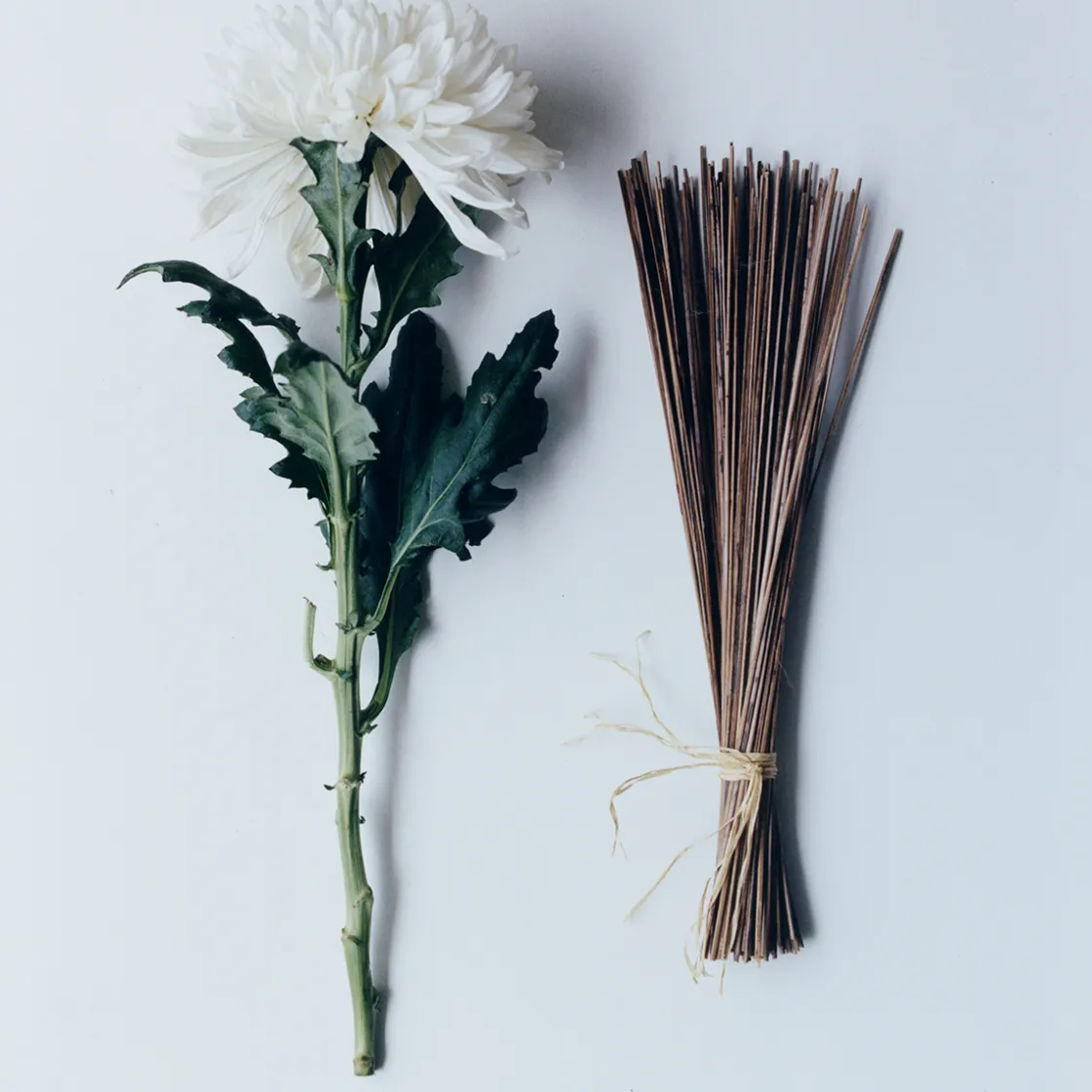 Notes De Bas De Paje Towede Extrait de Parfum 50ml Best