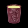 Diptyque Tubereuse Scented Candle 600gr New