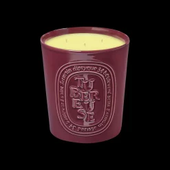 Diptyque Tubereuse Scented Candle 600gr New