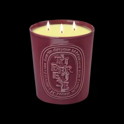 Diptyque Tubereuse Scented Candle 600gr New
