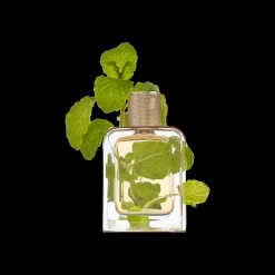 Veronique Gabai Vert Desir Eau de Parfum 85ml Sale
