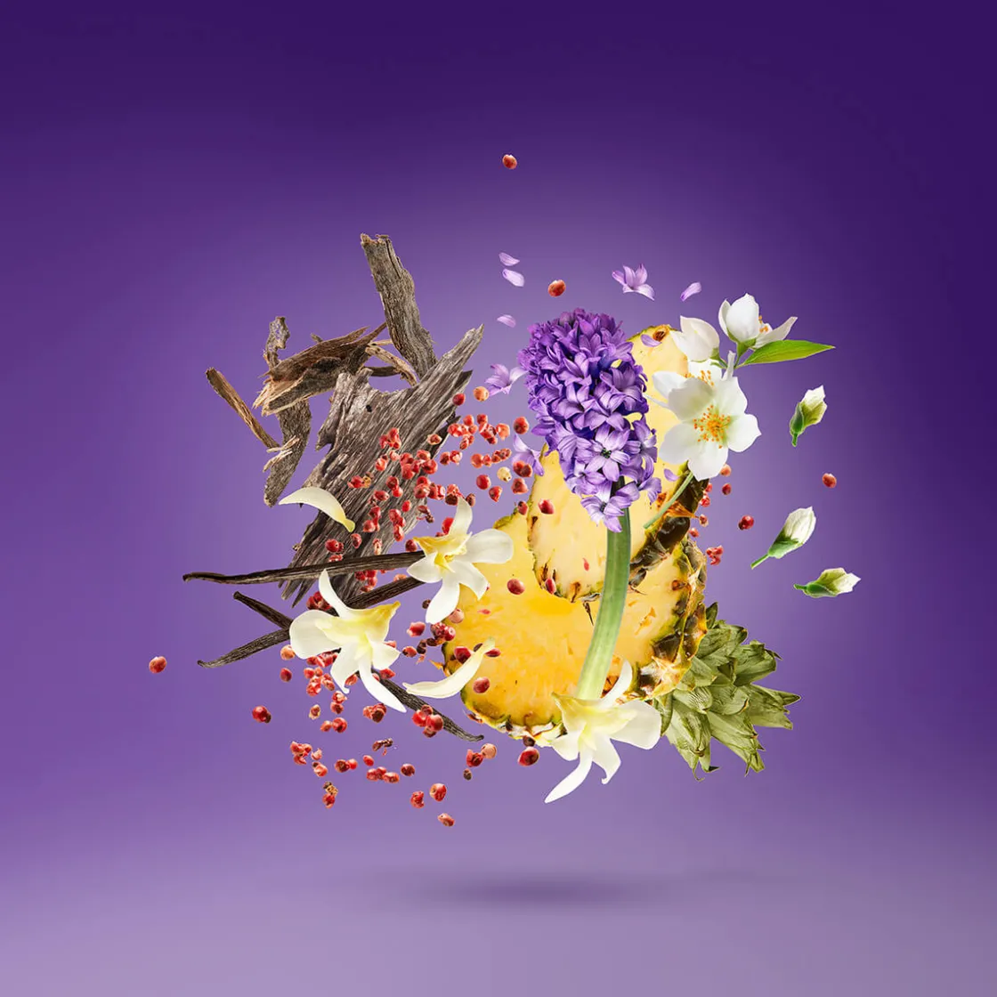 Xerjoff Vibe Purple Accento Eau de Parfum 100ml Best