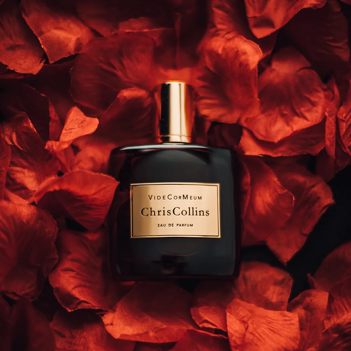 Chris Collins Vide Cor Meum Eau de Parfum 50ml