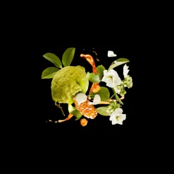 Xerjoff XJ1861 Naxos Eau de Parfum 100ml New