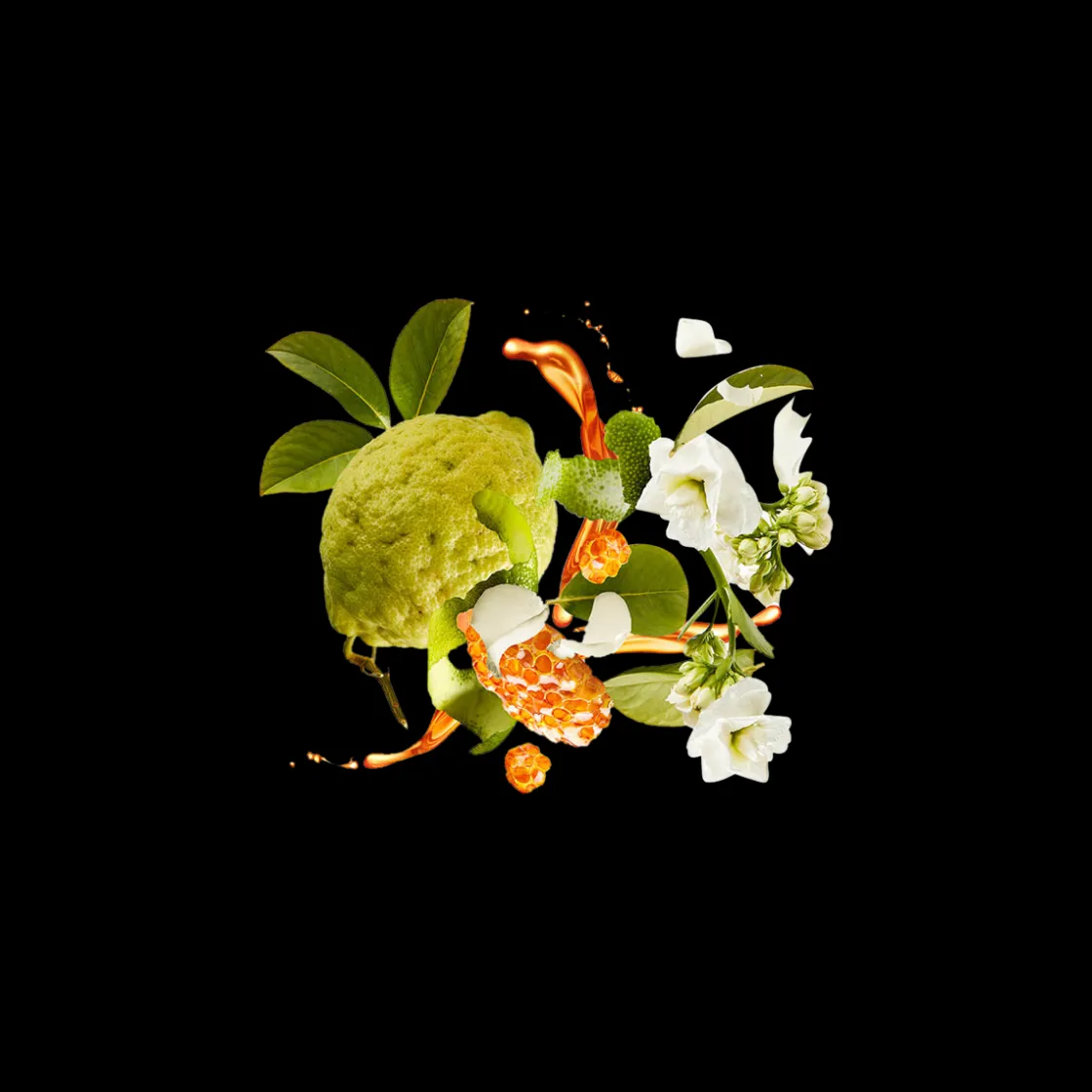 Xerjoff XJ1861 Naxos Eau de Parfum 100ml New